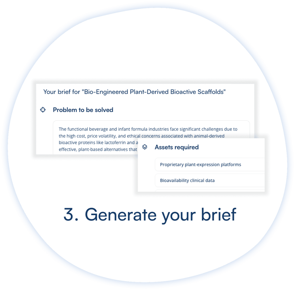 Step 3: Generate your brief